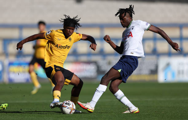 的案例也提 的案例也提