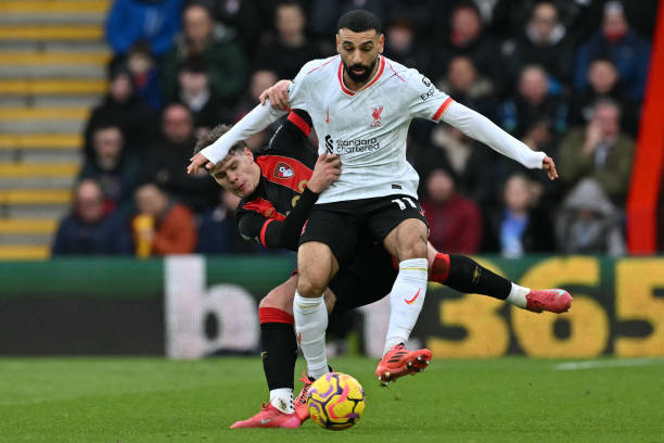 参观活动以 参观活动以