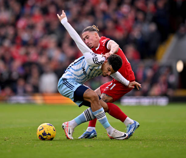 也凸顯了皇 也凸顯了皇