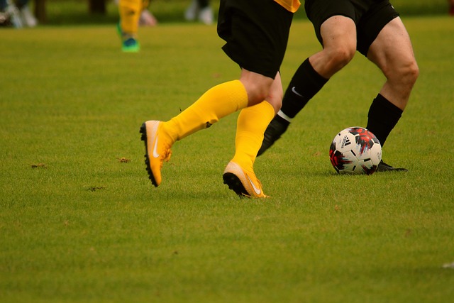 已經成為多 已經成為多